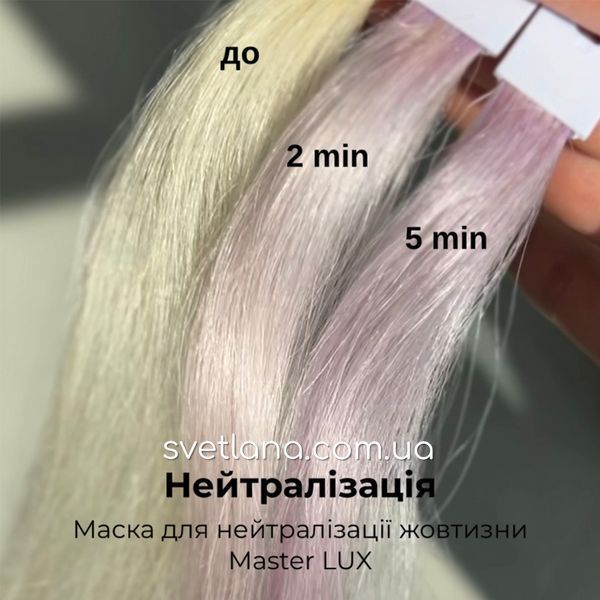 Маска для нейтралізації жовтизни ANTI-YELLOW Master LUX Professional 10695 фото